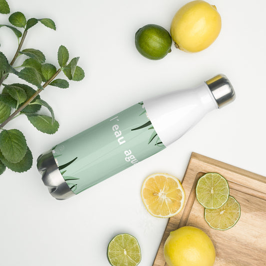 Stainless Steel Water Bottle